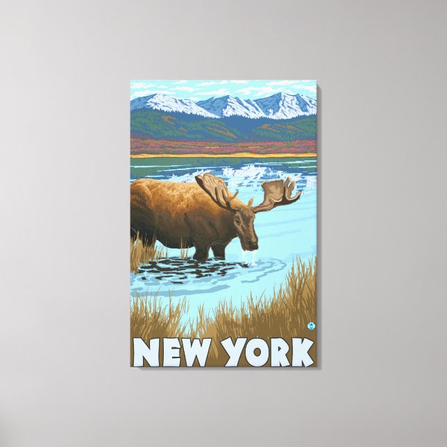 New YorkMoose Drinking in Lake Canvas Print (Front)