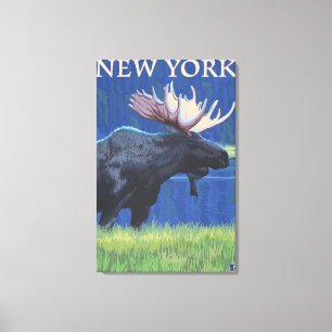 New YorkMoose in the Moonlight Canvas Print