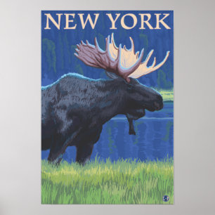 New YorkMoose in the Moonlight Poster