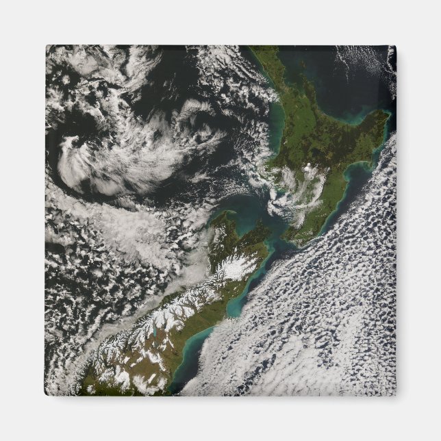 New Zealand 5 Magnet (Front)