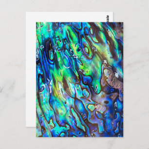 New Zealand Abalone Paua Shell Pattern 1 Postcard