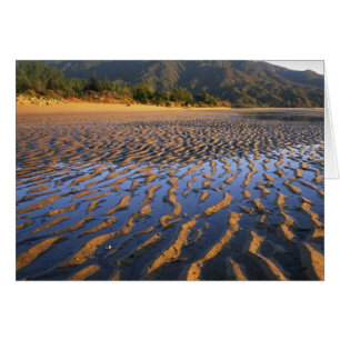 New Zealand, Abel Tasman National Park, Coast 2