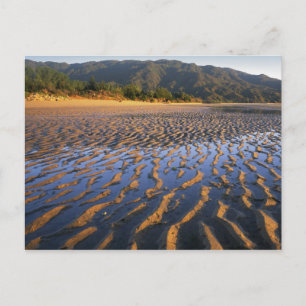 New Zealand, Abel Tasman National Park, Coast 2 Postcard
