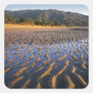 New Zealand, Abel Tasman National Park, Coast 2 Square Sticker