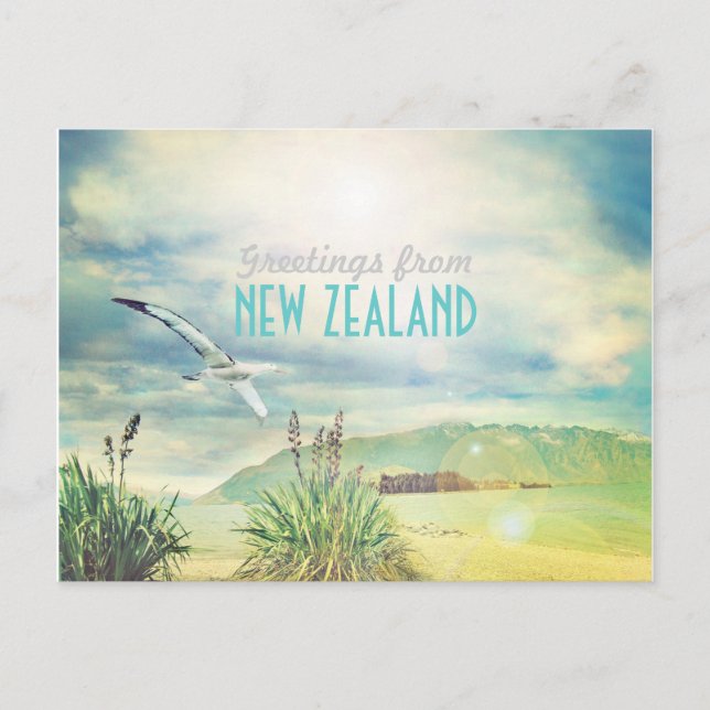 New Zealand beach&mountain Postcard (Front)