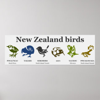New Zealand birds poster