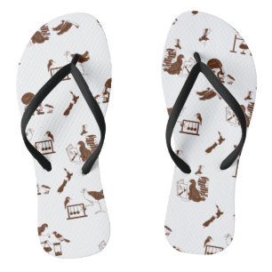 New Zealand Birds Science Students Flip Flops
