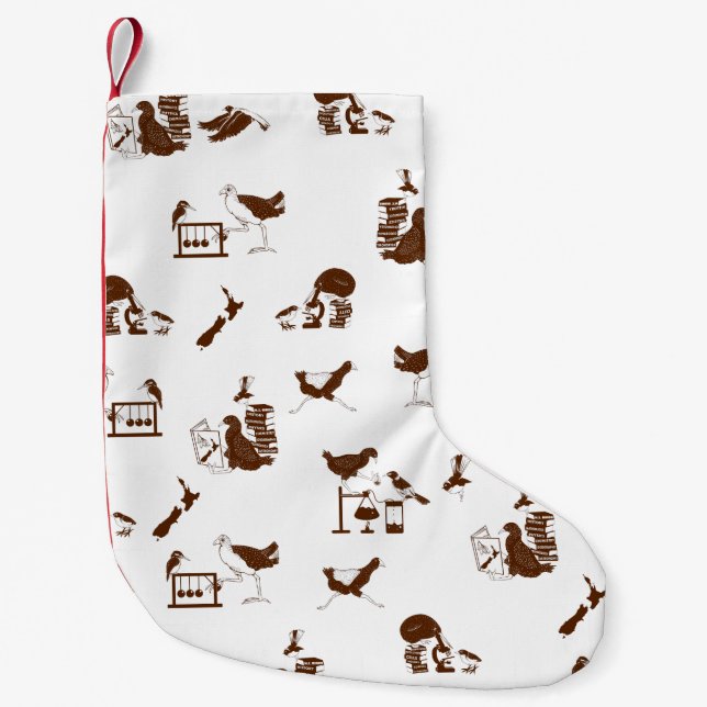 New Zealand Birds Science Students Small Christmas Stocking (Front)