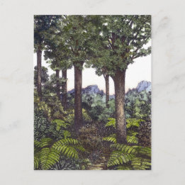 New Zealand Bush Postcard