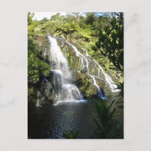 New Zealand by Nature Postcard (Front)