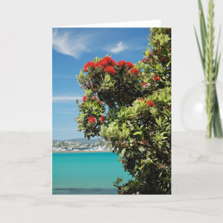New Zealand Christmas Tree, the Pohutukawa Holiday Card
