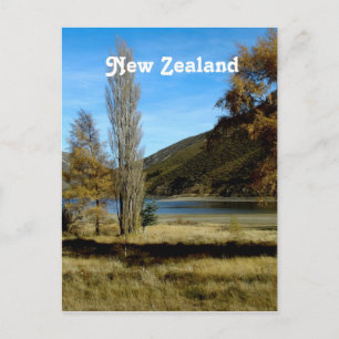 New Zealand Countryside Postcard
