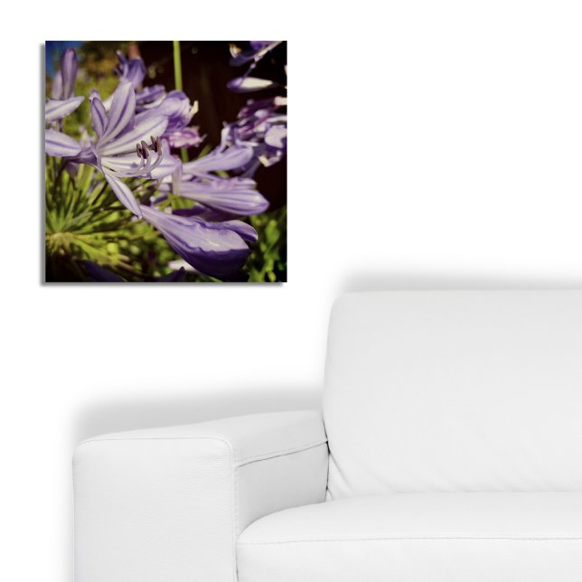 New Zealand Floral Agapanthus Violet Blossom Poster (New Zealand Floral Agapanthus Violet Blossom Poster, Botanical Summer Bloom)