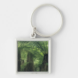 New Zealand, Haast Valley, Westland, Soft Tree Key Ring