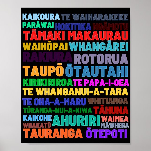 New Zealand Home & Holiday Places Poster (Front)