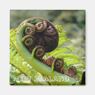 New Zealand, Iconic fern leaf (Fridge Magnet) Magnet