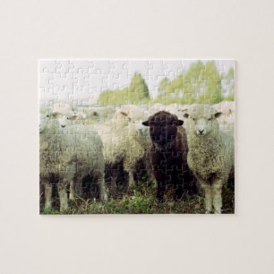 New Zealand Jigsaw Puzzle