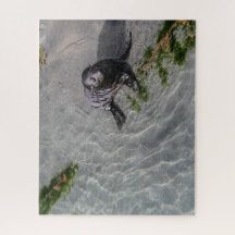 New Zealand Jigsaw Puzzle - Seal pup Wharariki