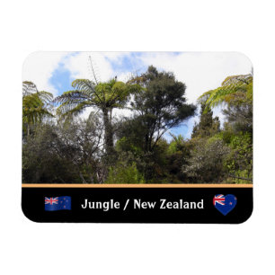 New Zealand Jungle, Fern Trees / Forest Magnet