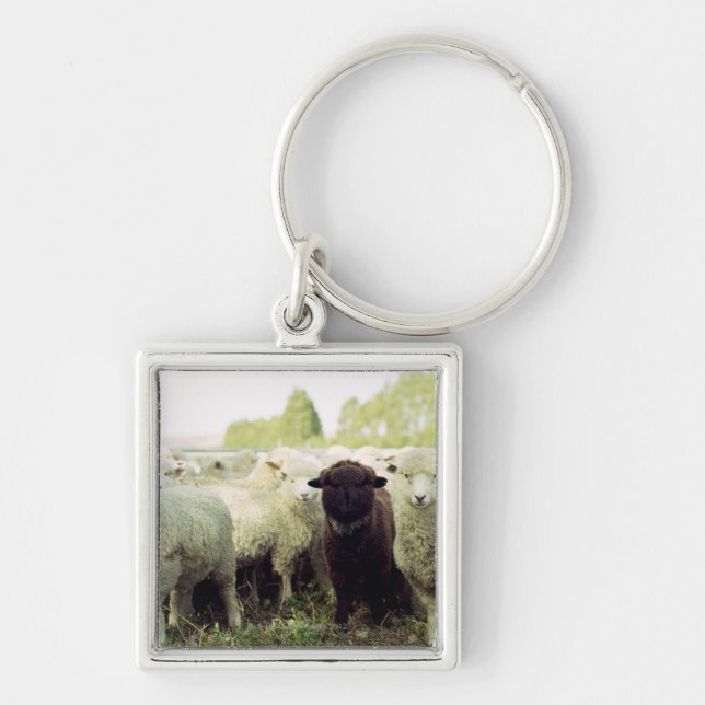 New Zealand Key Ring (Front)