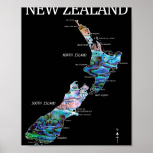 New Zealand Kiwi Detailed Map  Poster