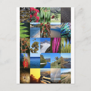 New Zealand Kiwiana nature scenes Postcard