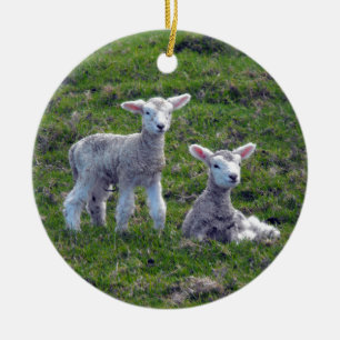 New Zealand Lambs Ceramic Tree Decoration