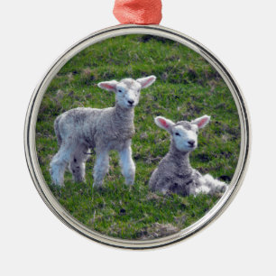 New Zealand Lambs Metal Tree Decoration