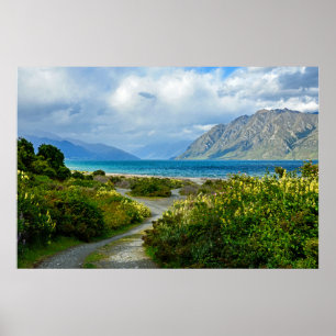 New Zealand Landscape Poster
