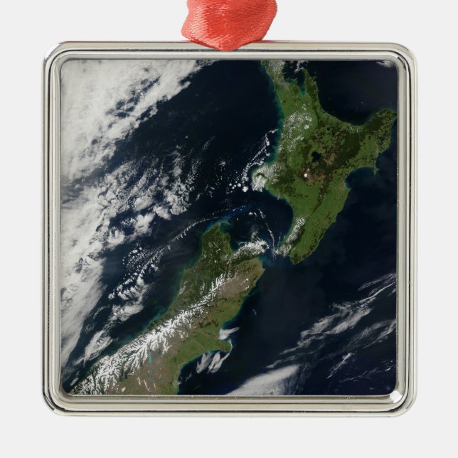New Zealand Metal Tree Decoration (Front)