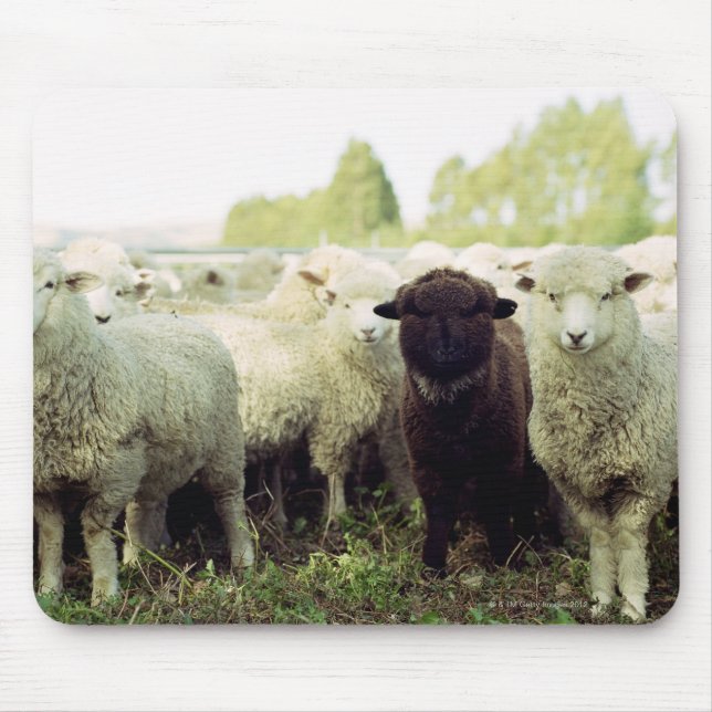 New Zealand Mouse Mat (Front)