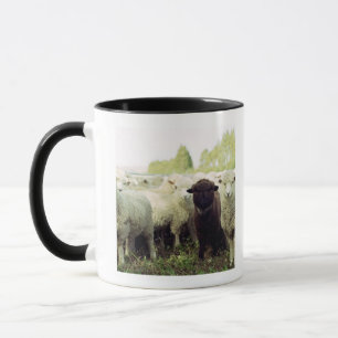 New Zealand Mug