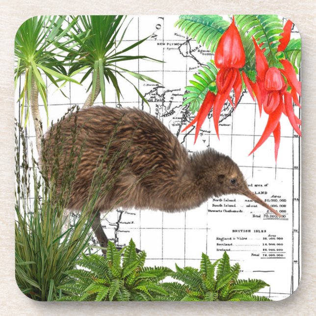 New Zealand Native Bird Coaster Set (Front)