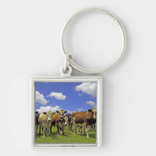 New Zealand, North Island, Auckland Key Ring