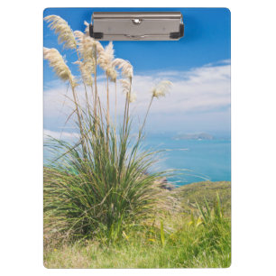 New Zealand, North Island, Cape Reinga Clipboard