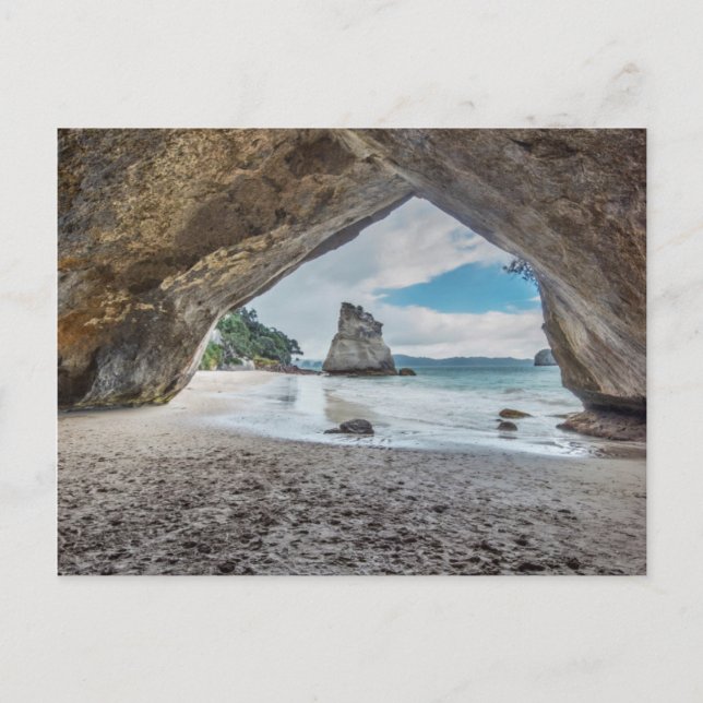 New Zealand, North Island, Coromandel Peninsula Postcard (Front)