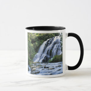 New Zealand, North Island, Karangahake Gorge, Mug