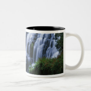 New Zealand, North Island, Karangahake Gorge, Two-Tone Coffee Mug