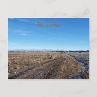 New Zealand Postcard