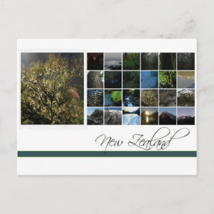 New Zealand Postcard
