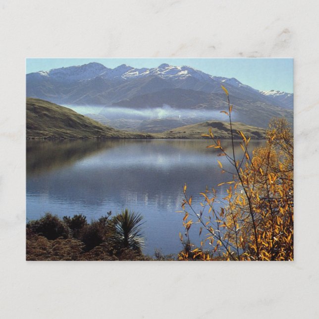 New Zealand Postcard (Front)