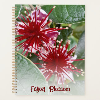 New Zealand Red Floral Feijoa Blossoms Planner
