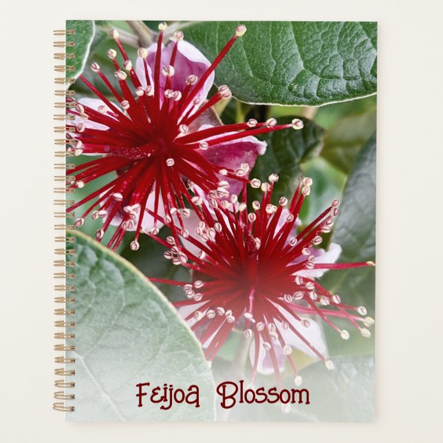 New Zealand Red Floral Feijoa Blossoms Planner (Front)