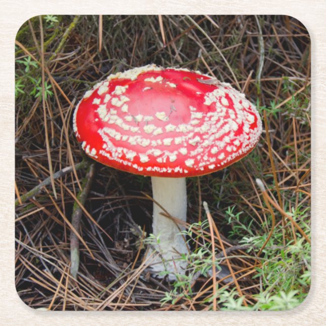 New Zealand, Rotorua, Taupo Volcanic Zone Square Paper Coaster (Front)