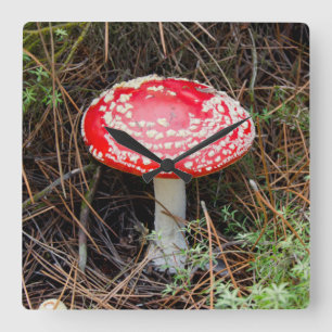 New Zealand, Rotorua, Taupo Volcanic Zone Square Wall Clock