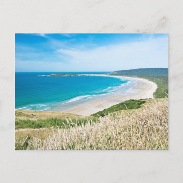 New Zealand, South Island, Catlins, Tautuku Bay Postcard (Front)