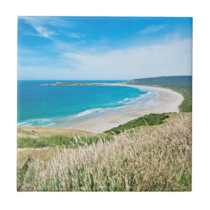 New Zealand, South Island, Catlins, Tautuku Bay Tile