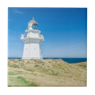 New Zealand, South Island, Catlins, Waipapa Tile