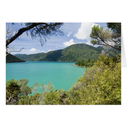 New Zealand, South Island, Marlborough Sounds. Card