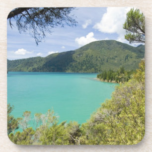 New Zealand, South Island, Marlborough Sounds. Coaster
